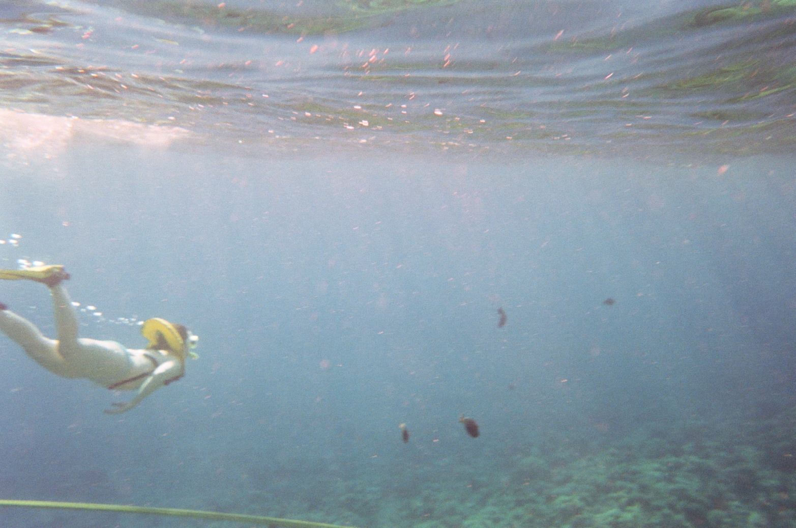 Author during a snorkel excursion in Hawaii